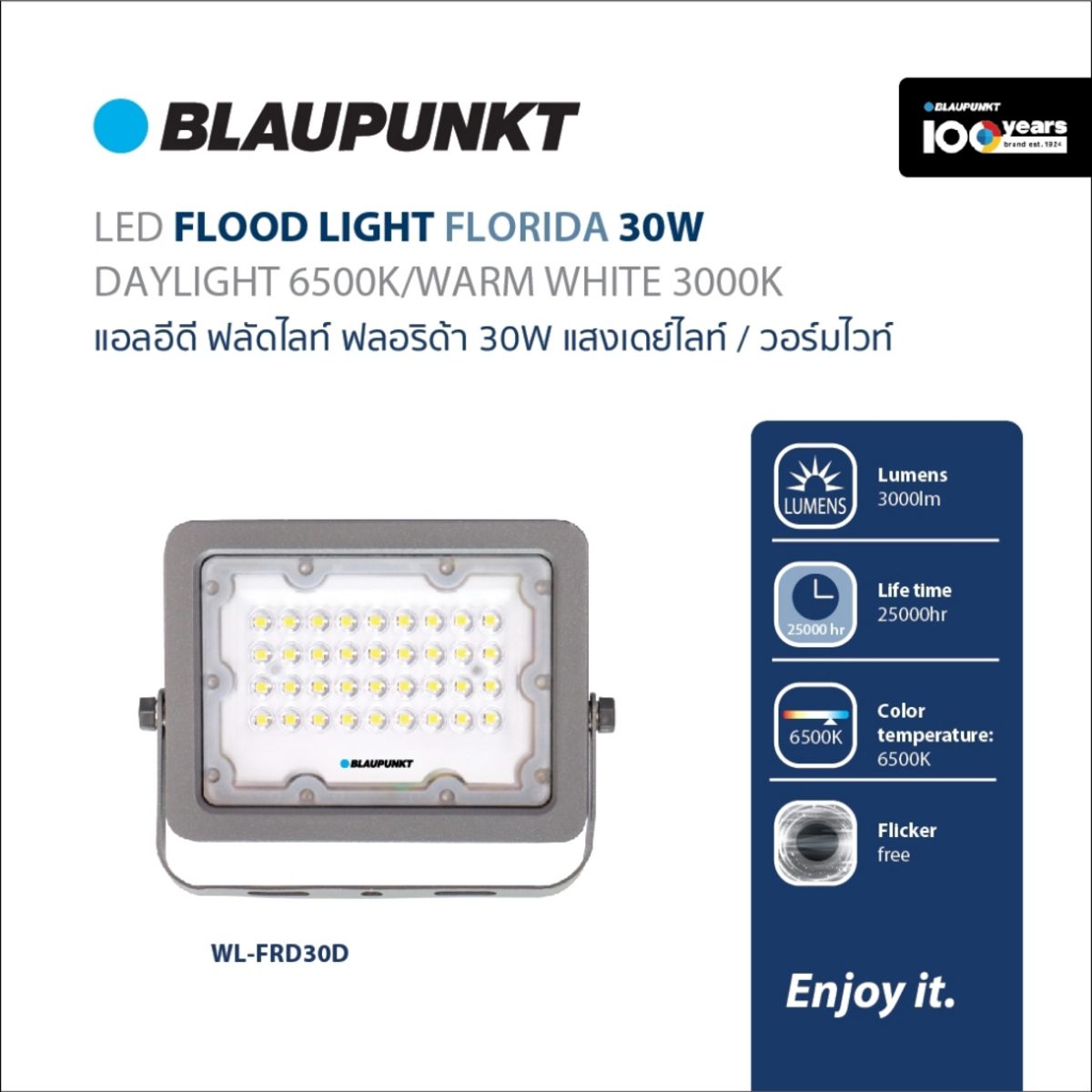 BLAUPUNKT โคมไฟฟลัดไลท์ 30 วัตต์ เดย์ไลท์ รุ่น FLORIDA SERIES ความสว่าง 3000 ลูเมน กระจกนิรภัยป้องกันตกกระแทก เหมาะสำหรับใช้งานภายนอกอาคาร ล
