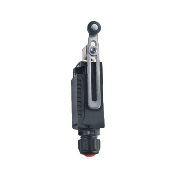 CZ  CZ1246/1-3-ZCY45-01 (Limit Switch)