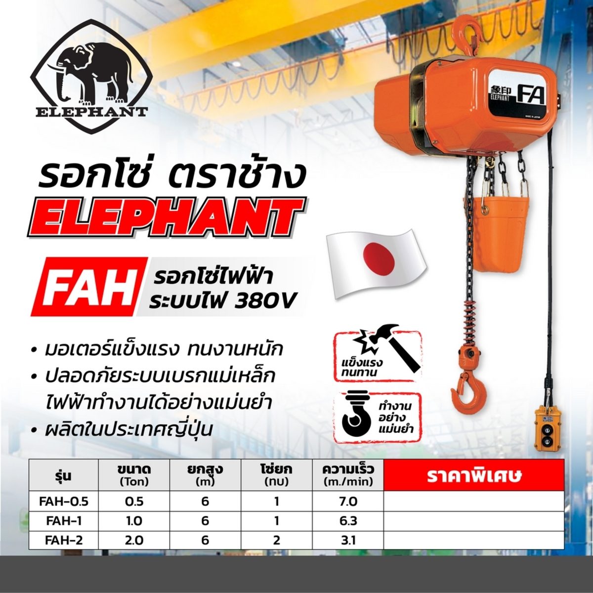 รอกโซ่ไฟฟ้า FAH-0.5 - 0.5 T/ 380V (6ม.)