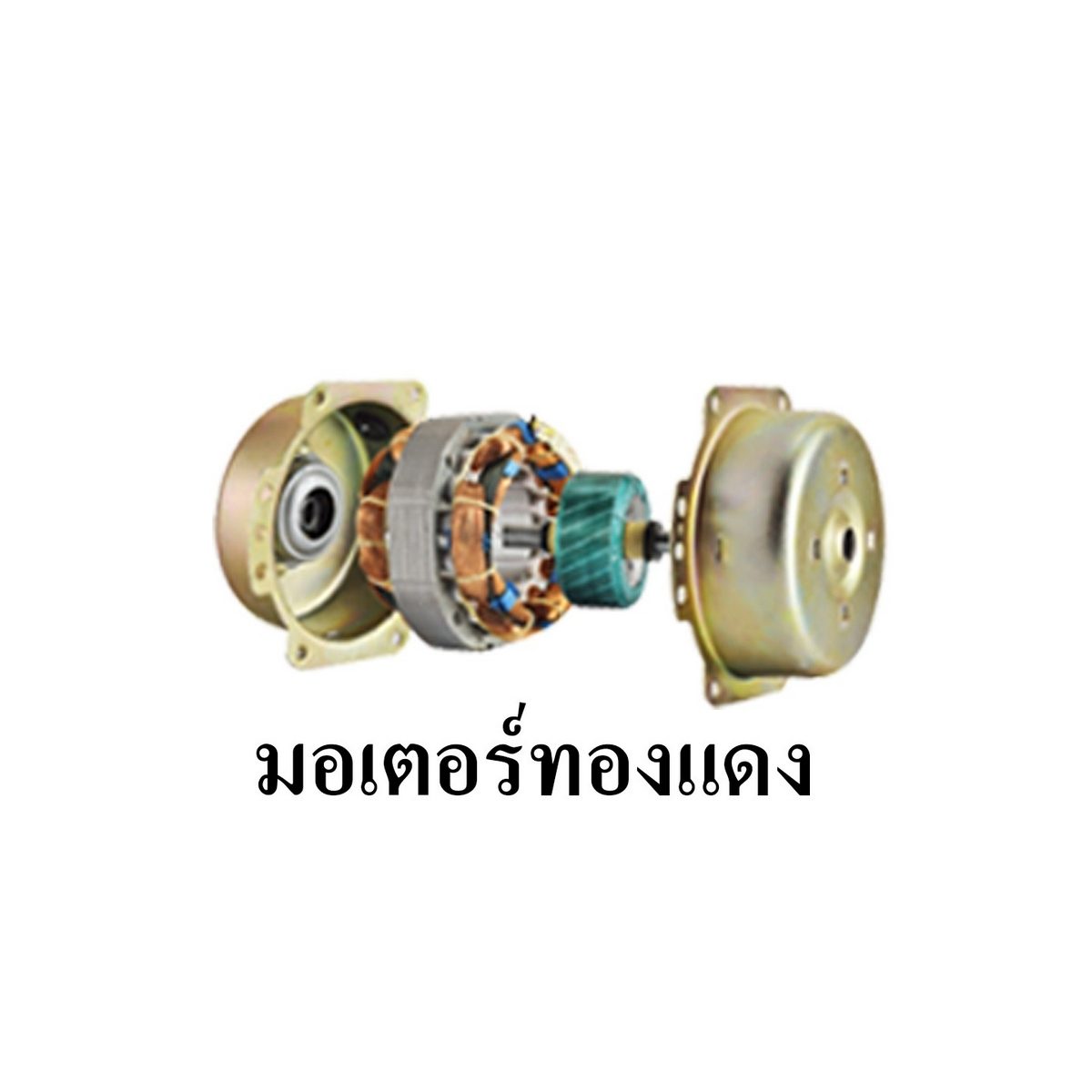 IWACHI พัดลมดูดอากาศ แบบติดผนัง 12 นิ้ว กำลังไฟ 50 วัตต์ แรงดันไฟฟ้า 220-240 โวลต์ เสริมความปลอดภัยด้วยระบบตัดไฟอัตโนมัติ เทอร์โม ฟิวส์ ทำงา